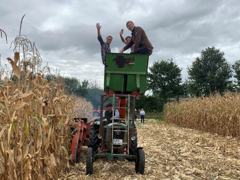 Münsterländer Popcornmais